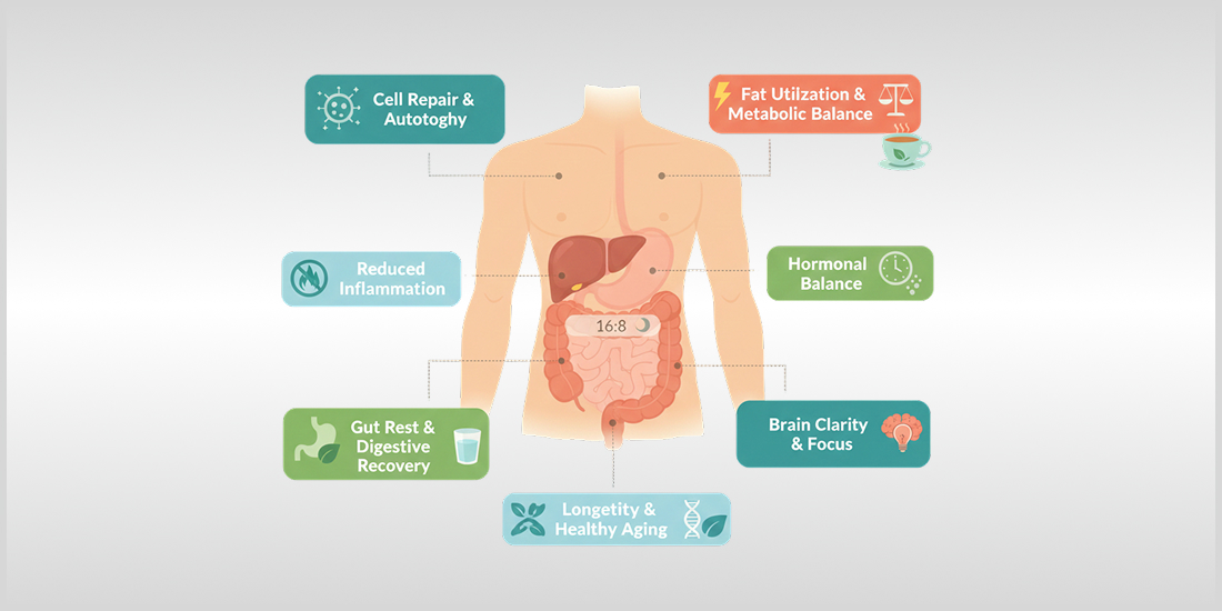 Fasting in Modern Life