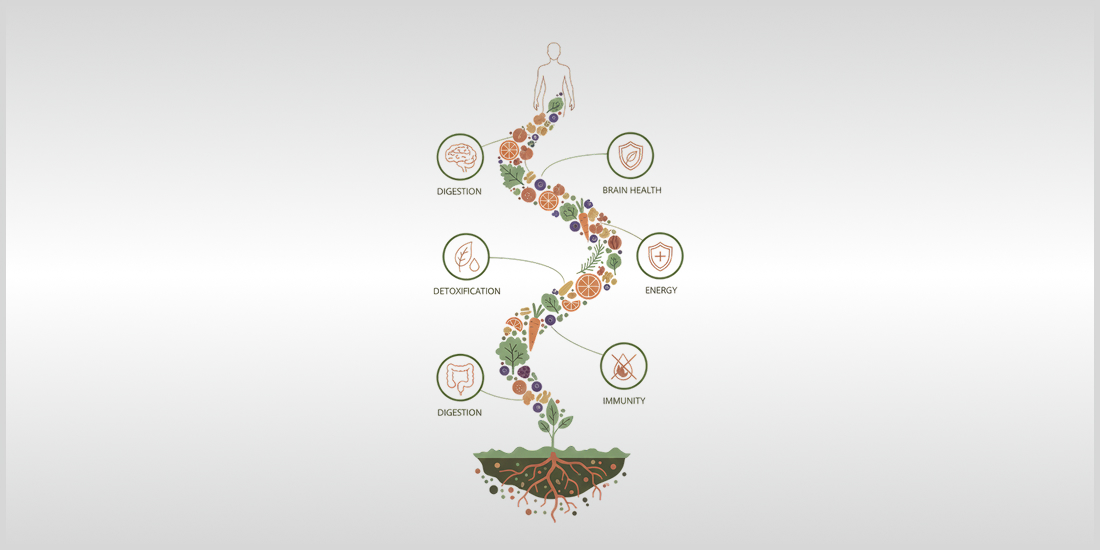 Healing Foods in the Modern Indian Diet