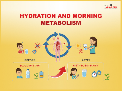 how-hydration-boosts-morning-metabolism